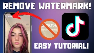 How to Save TikTok Videos Without the Watermark  Remove TikTok Watermark 2024 [upl. by Aiyekal442]