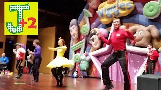 The Wiggles Around Australia DO THE PROPELLER song [upl. by Notsla403]