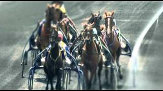 CASAQ LIGUE le Championnat de France des Jockeys et Drivers 2011 [upl. by Apfel]