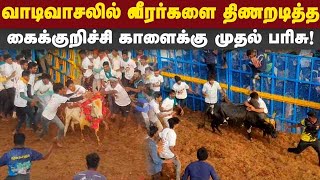 கோலாகலமாக நடந்து முடிந்த தச்சங்குறிச்சி ஜல்லிக்கட்டு  Thachankurichi  Jallikattu  Pudukottai [upl. by Shana]