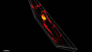 3D Neuron and Neurite Reconstruction for Rotenonetreated Neurons [upl. by Andra154]