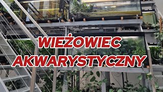 WIEŻOWIEC AKWARYSTYCZNY w Białymstoku [upl. by Ennoid554]