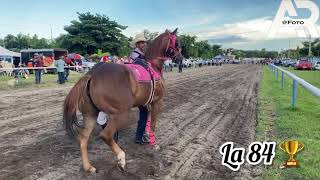 La Nueva Sicaria Cuadra Los Primos 🆚La 84 Cuadra Quechuleño Carriles La Ganadera De Tierra Blanca🔥 [upl. by Langill652]