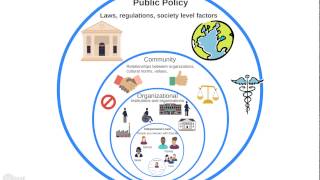 Intro to the Ecological Model [upl. by Lilla]