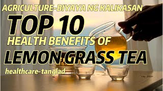 agriculture TOP 10 HEALTH BENEFITS OF LEMON GRASSTANGLAD TEA [upl. by Quartis496]