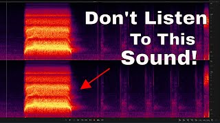 The Scariest Sound In The World [upl. by Elihu]