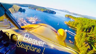 How To Fly  Seaplane  De Havilland Beaver  Seattle Scenic Flight [upl. by Aloivaf]