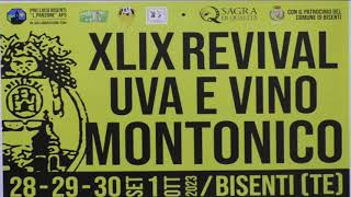 MIX DI IMMAGINI REVIVAL UVA E VINO MONTONICO DAL 1984 al 2000 [upl. by Quar462]