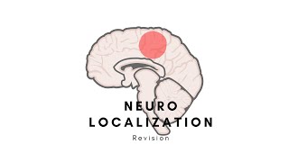 Neurology  Localizing a lesion neurolocalization Stroke  MS  Palsy  Motor neurons [upl. by Jochbed]