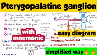 Pterygopalatine ganglion trick to memorize in short time✌️✌️ Anatomy MCWA [upl. by Saibot]