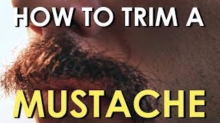 How to Trim Your Mustache  The Art of Manliness [upl. by Jillene619]