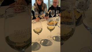 VIP Albariño winery visit amp tasting tour  Terras Gauda wine tours riasbaxias galicia spain [upl. by Nahtonoj]