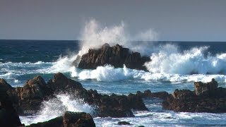 Zen Ocean Waves  Ocean Sounds Only NO MUSIC Aquatic Dream Therapy [upl. by Dyna]