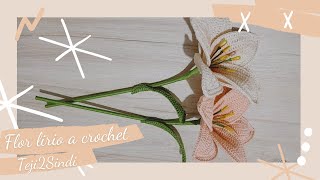 Lirios tejidos a crochet fáciles de hacer  Teji2Sindi ♡ [upl. by Clippard]