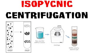 Isopycnic centrifugation [upl. by Mortimer165]