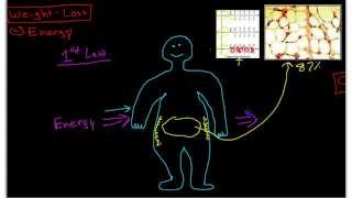 Science of WeightLoss Pathophysiology of Obesity [upl. by Kcirdneh659]