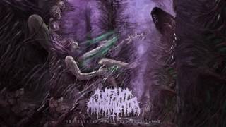 Infant Annihilator  Behold the Kingdom of the Wretched Undying lyric video [upl. by Thanasi403]