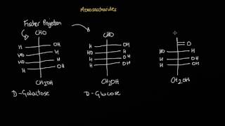 Monosaccharides Structure amp Classification [upl. by Ardussi]