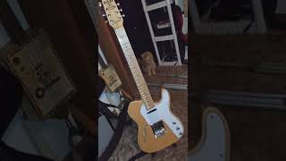 Cozart 12 string telecaster deluxe [upl. by Navak]