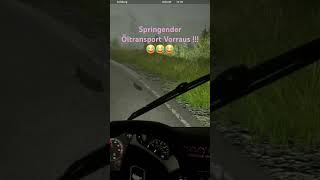 Springender Öltransport Vorraus 😅😅😅 fernbussimulator funny fun gaming fail dark bug [upl. by Saenihp24]