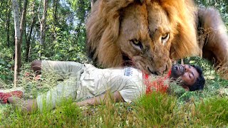 Lion Attack Man in Forest  Lion Attack Hunter  Lion Attack Stories Part44 [upl. by Raynor]