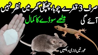 Chipkali bhagane ka tarika  Chipkali marne ka tarika  get rid of mouse  quick Rat killer Trick [upl. by Eanej]