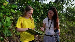 IBDP Biology Leaf Phenology [upl. by Haggerty]