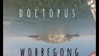 Doctopus  Wobbegong [upl. by Burris]