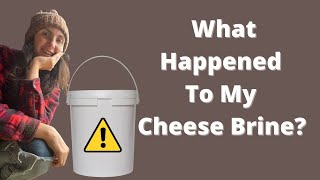 What Happened To My Cheese Brine [upl. by Anairo740]