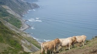 Connemara cradle song  Steeleye Span  Bedlam born  Connemara [upl. by Otaner]