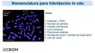 33 Nomenclatura para la Hibridación in situ en oncología desactualizado [upl. by Navek]