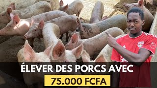 Comment DÉBUTER votre projet DÉLEVAGE de PORC avec 75000 FCFA en AFRIQUE  Je vous dis tout [upl. by Annayat]