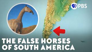 The Mystery of South Americas False Horses [upl. by Thaxter]