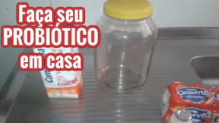 REPARE SUA FLORA INTESTINAL COM PROBIÓTICO CASEIRO  SAÚDE INTESTINAL  Lactobacilos VIVOS [upl. by Yonah668]