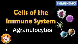 Cells of the Immune System PART II  AGRANULOCYTES FLImmuno03 [upl. by Alver]