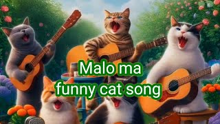 Malo ma  funny cat song catlover funnycats [upl. by Arber]