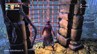 PS4 Bloodborne  Calice de Pthuméru Pthumeru Chalice  niveau 3 [upl. by Rolandson]