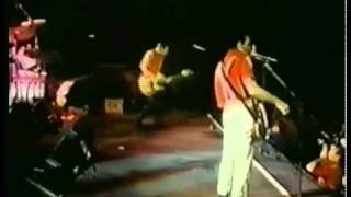 The Clash  London Calling Live in Vienna 1981 [upl. by Brina]