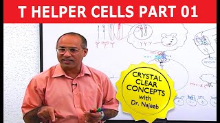 T Helper Cells  Immunology  Part 110 [upl. by Yim]