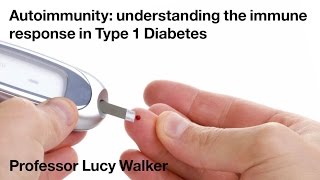 Eliminating Type 1 Diabetes The XOStem Breakthrough [upl. by Spancake]