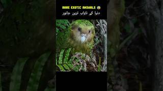 Exotic Animals Most Rare Animals in the world facts shorts ytshorts [upl. by Akienahs]