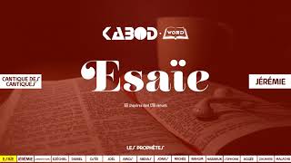 « Esaïe » LAncien Testament  La Sainte Bible audio VF Complète [upl. by Ardnaet]