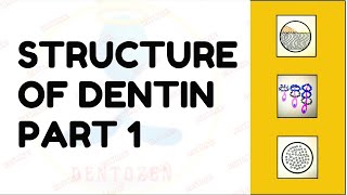 Dentinal Tubules  Dentin Histology  Structure of Dentin [upl. by Laresa]