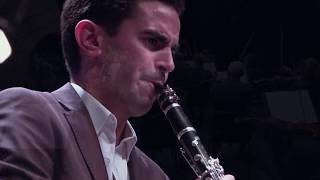 Clarinet Final 2018  Vitor Fernandes 2nd Prize [upl. by Noremac]