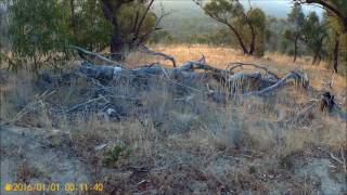 The Grampians Chinaman Track [upl. by Aicnetroh]