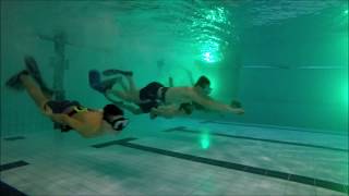 De coolste sportclub van Vlaanderen  duikschool Oceanica Maasmechelen [upl. by Reifel]