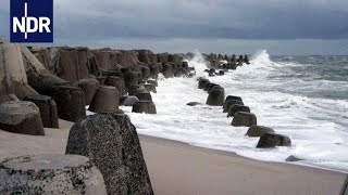 Küstenschützer in SchleswigHolstein  die nordstory  NDR [upl. by Cesare271]