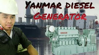 How to start a Yanmar Diesel Generator in easy manual procedure [upl. by Dibri]