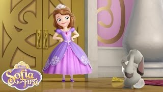 Sofia the First Theme Song  disneyjr [upl. by Marylinda]