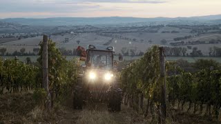 Ode To Harvest  Fattoria Le Pupille [upl. by Antonia87]